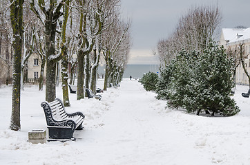Image showing Alley in the park of the city of Sillamae in winter