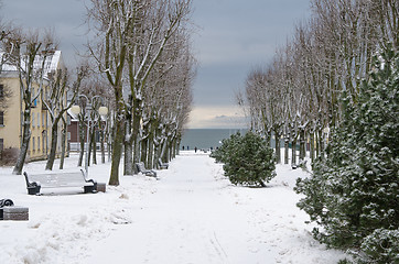 Image showing Alley in the park of the city of Sillamae in winter