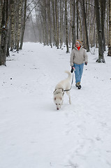 Image showing Woman with dog walking down the avenue in the winter.