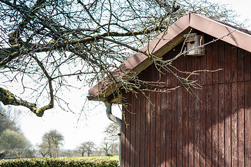 Image showing allotment hut with garden in spring