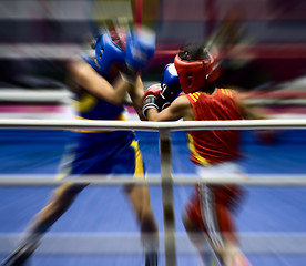 Image showing Boxing on a ring