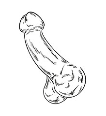 Image showing human penis sketch