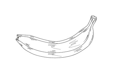 Image showing banana, sketch