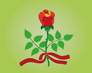 Image showing red rose with ribbon