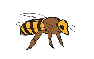 Image showing one bee