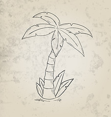 Image showing sketch of the palm tree