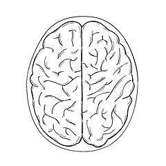 Image showing human brain