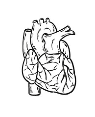 Image showing human heart