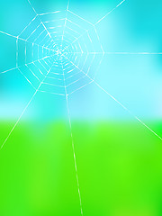 Image showing spider web on color background