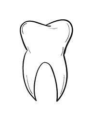 Image showing sketch of the tooth