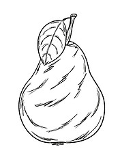 Image showing pear sketch