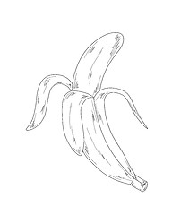 Image showing banana, sketch