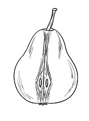 Image showing pear sketch