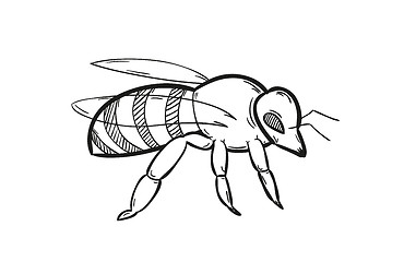 Image showing one bee