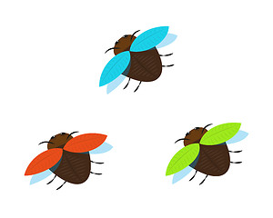 Image showing three brown bugs with different color wings