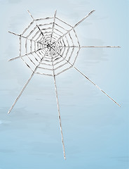 Image showing spider web with shadow