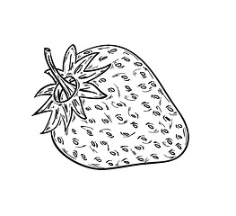 Image showing sketch of the strawberry
