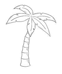 Image showing sketch of the palm tree