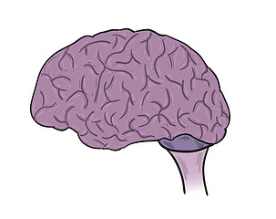 Image showing human brain