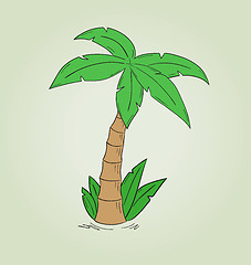 Image showing sketch of the palm tree