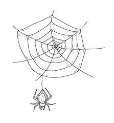 Image showing spider web and spider