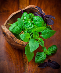 Image showing Different basil sorts