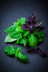 Image showing Variation of basil