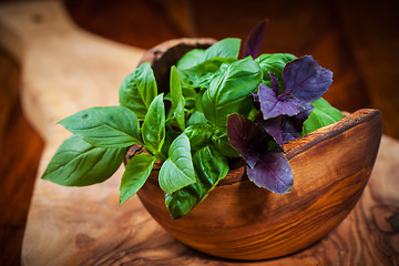 Image showing Different basil sorts