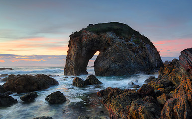 Image showing Horse Head Rock Bermagui