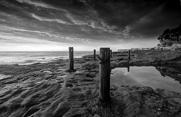 Image showing Ivo Rowe Rockpool Coogee Australia