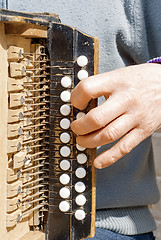 Image showing man playing concertina