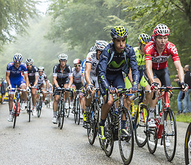 Image showing The Peloton in a Misty Day