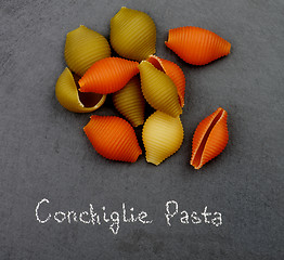 Image showing Conchiglie Tricolore Pasta