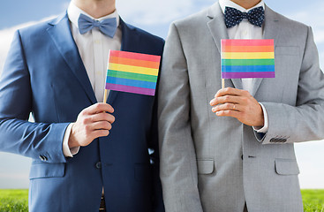 Image showing close up of male gay couple holding rainbow flags