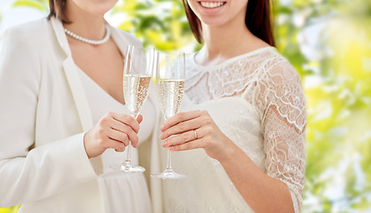 Image showing close up of lesbian couple with champagne glasses