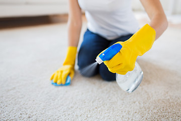 Image showing close up of woman with cloth cleaning carpet