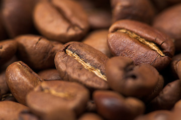 Image showing Coffee beans