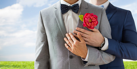 Image showing close up of happy male gay couple