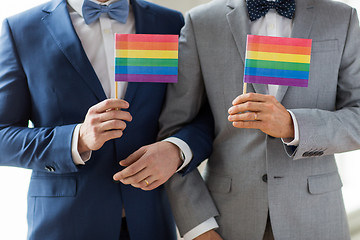 Image showing close up of male gay couple holding rainbow flags