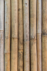 Image showing bamboo cane wall texture