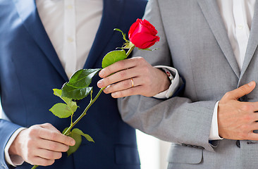 Image showing close up of happy male gay couple holding hands