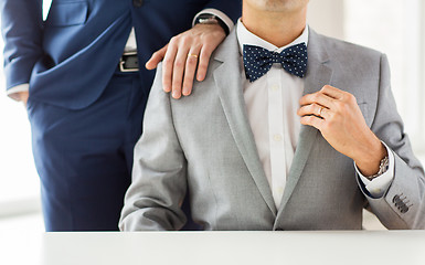 Image showing close up of male gay couple with wedding rings on