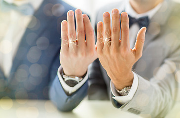 Image showing close up of male gay couple with wedding rings on