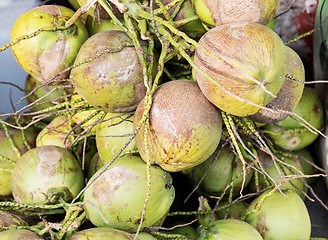 Image showing water coconuts bunch