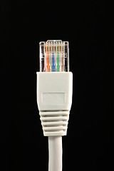 Image showing Network cable