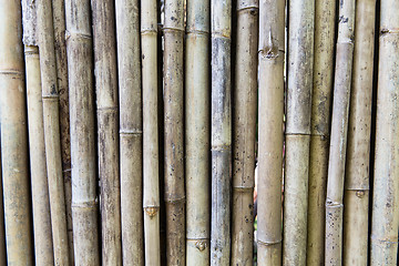 Image showing bamboo cane wall texture