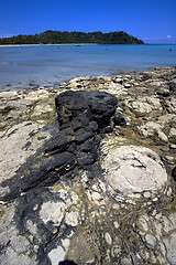 Image showing andilana beach , madagascar lagoon 