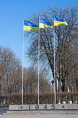 Image showing Flag of Ukraine.