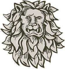 Image showing Angry Lion Big Cat Head Etching