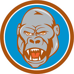 Image showing Angry Gorilla Head Circle Cartoon